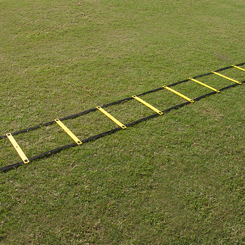 AGILITY LADDER